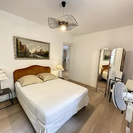Pah1 - Tres Beau 2 Pieces Dans Rue Pietonne * Cannes